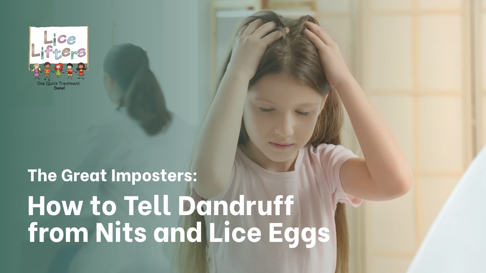 dandruff, nits or lice eggs