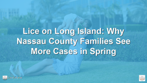 Lice on Long Island: Why Nassau County Families See More Cases in Spring