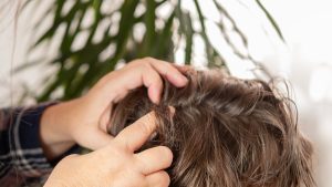 A parent's hands separating sections of a school-age child's brown shoulder-length hair under bright overhead light to inspect the scalp for the white specks that may turn out to be dandruff flakes or head-lice nits.