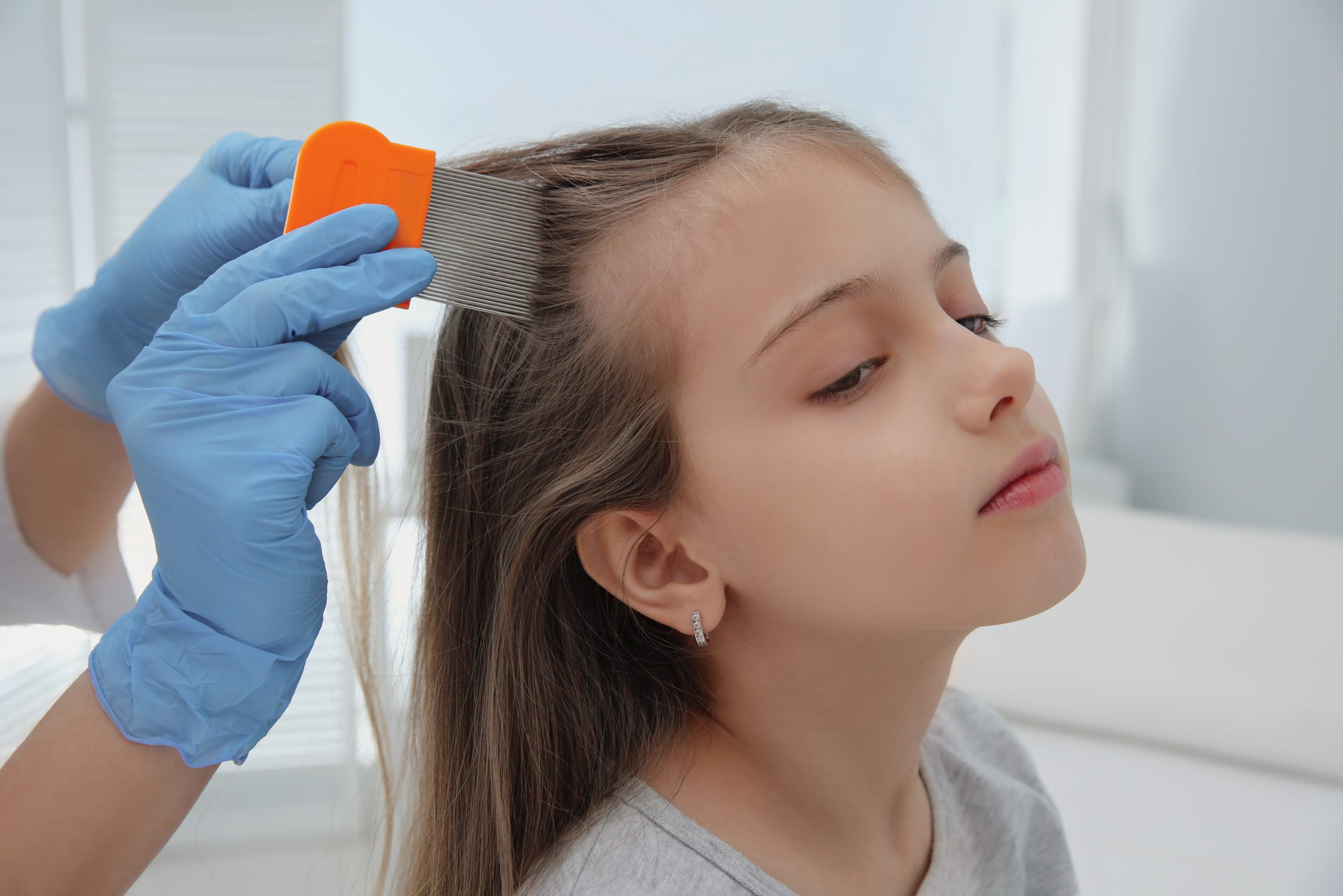 Lice specialist using a fine-toothed nit comb on a child's hair during a professional clinic comb-out