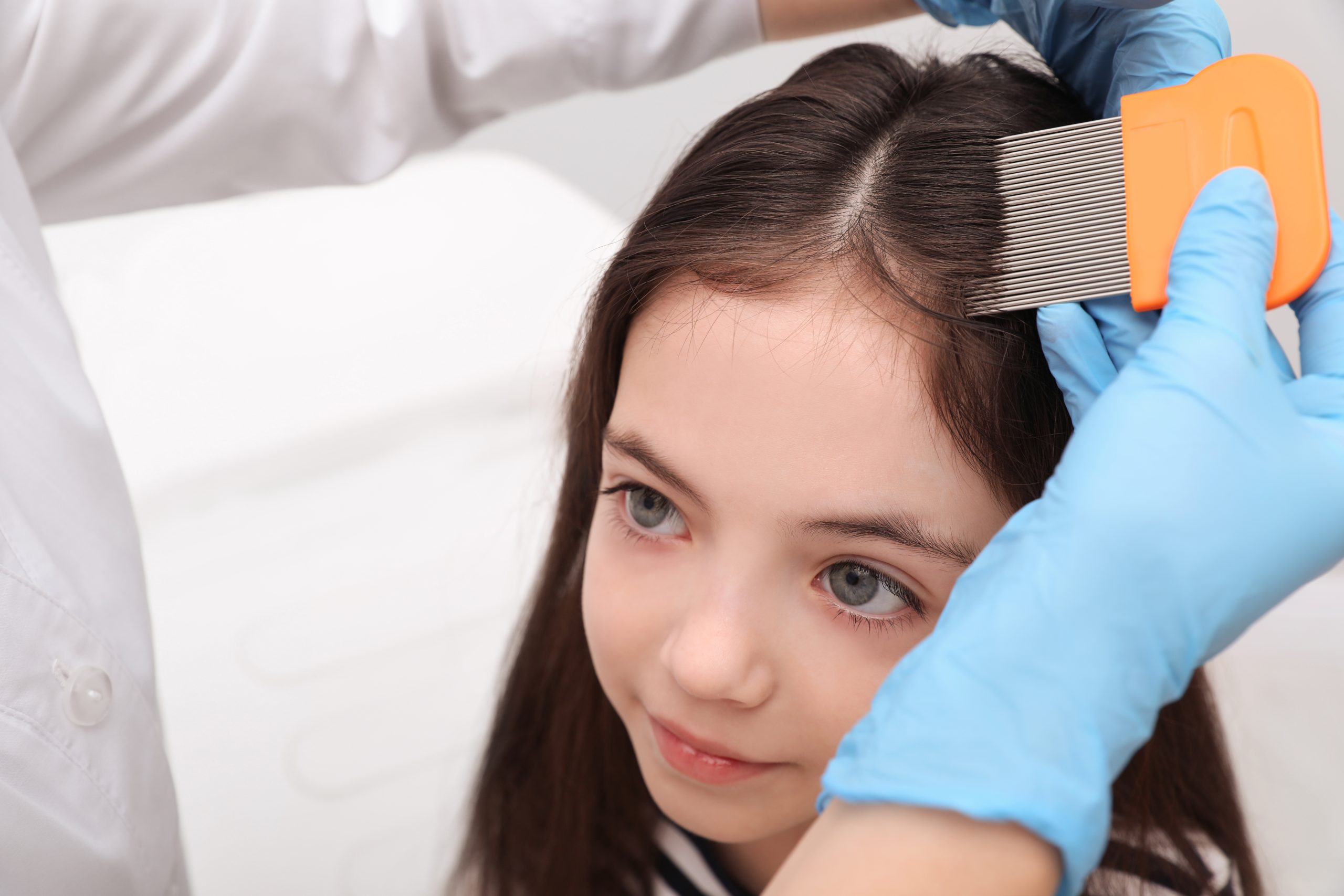 Attentive Child Undergoing Hair Examination in Clinic