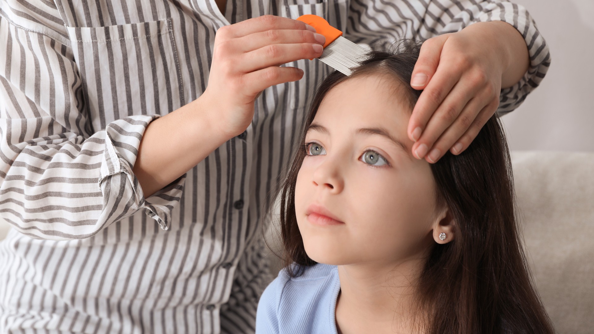 Why the Cleanest Kid in Class Still Gets Head Lice