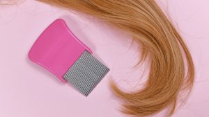 Why the Head Lice Life Cycle Outlasts Most Treatment Kits
