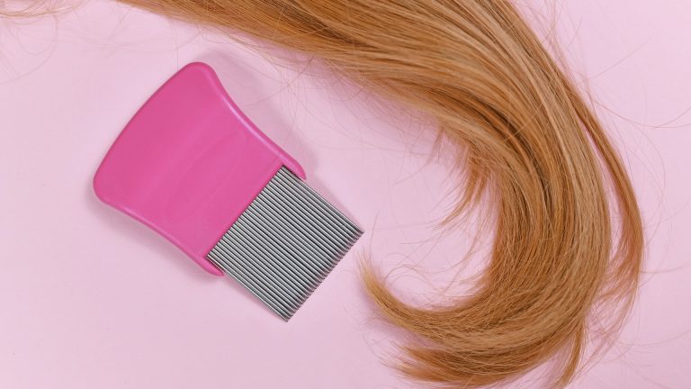Why the Head Lice Life Cycle Outlasts Most Treatment Kits