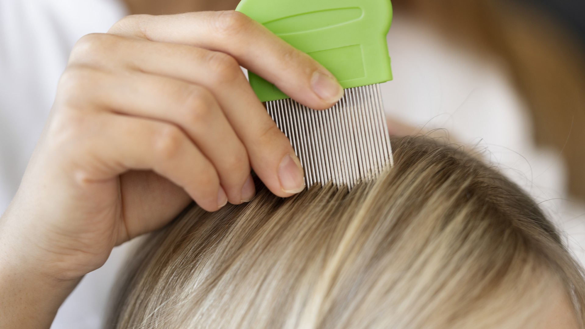 Upgraded: What Do Lice and Nits Look Like on a Comb?