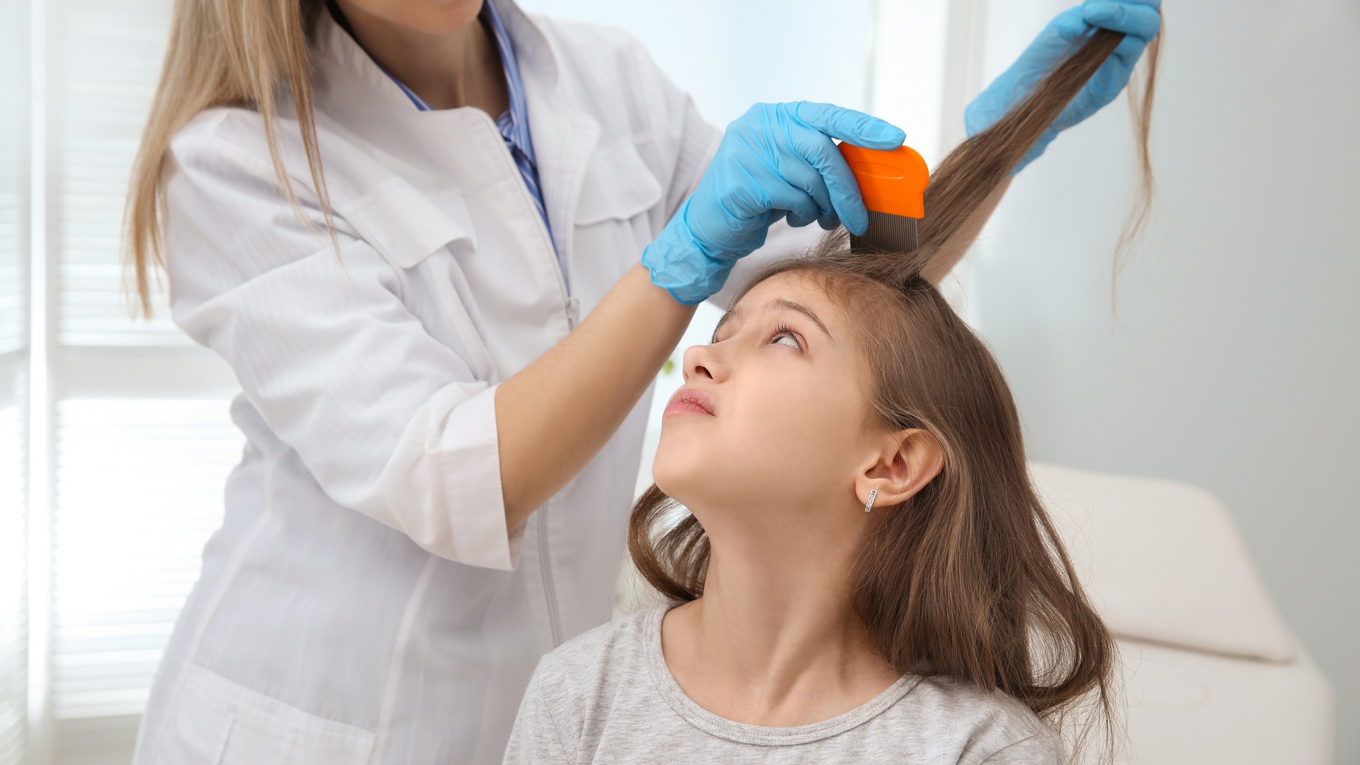 Upgraded: What to Expect at a Lice Treatment Clinic