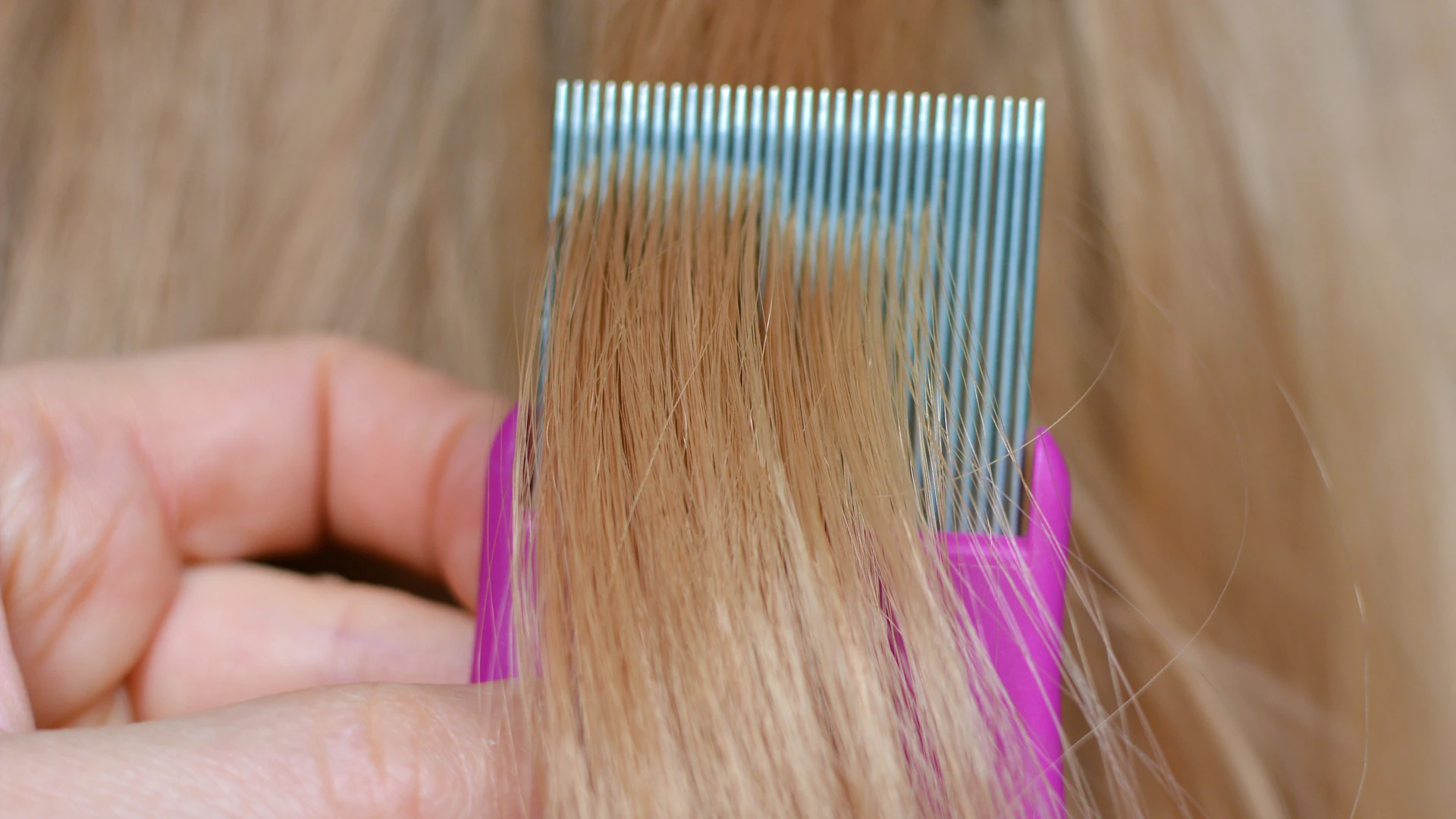 Pink-handled fine-toothed comb passing through a section of blonde hair.